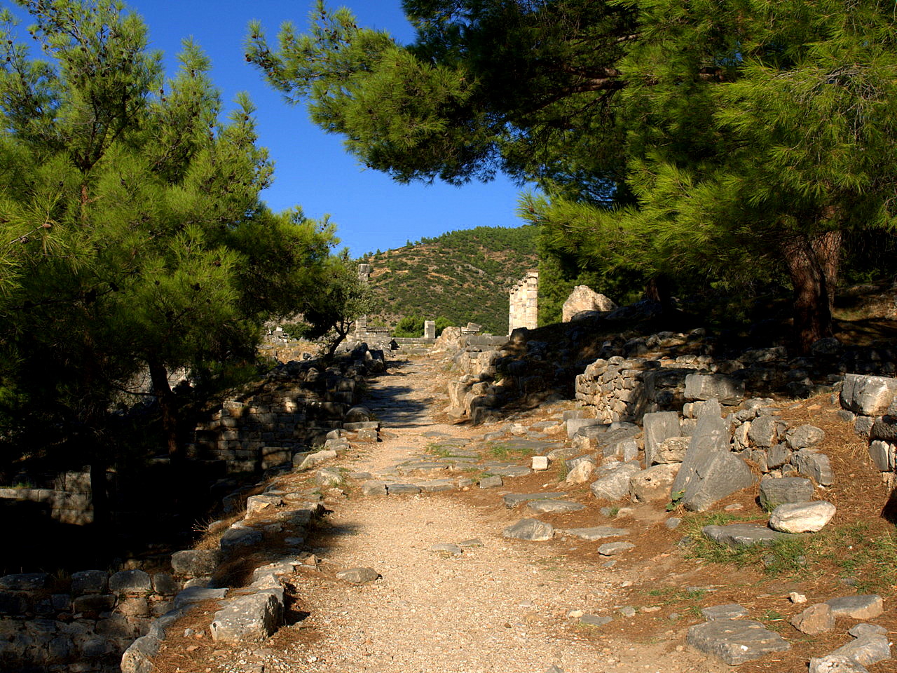 Priene